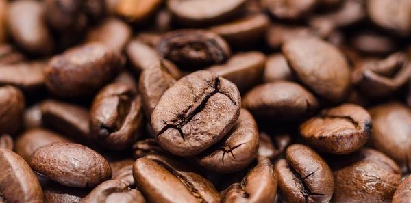    Мировые цены на кофе продолжают стремительній взлет